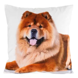 Poszewka welwetowa ANIMAL zdobiona nadrukiem psa