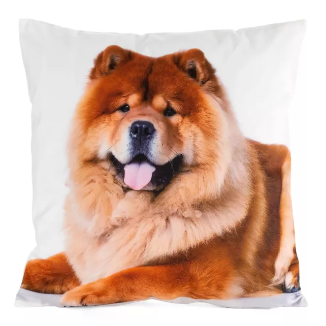 Poszewka welwetowa ANIMAL zdobiona nadrukiem psa